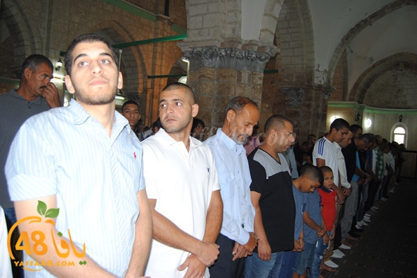 3eded ramlraj (10).JPG